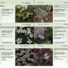Feuilletage-Guide-de-la-flore-blanc